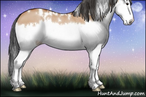 Horse Color:White Spotted Bay Dun Splash
