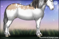 Horse Color:White Spotted Bay Dun Splash 