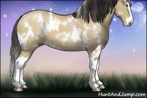 Horse Color:White Spotted Buckskin Dun Splash 