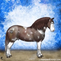Horse Color:White Spotted Brown Roan Splash  and White Spotted Chocolate Smoky Black Splash 