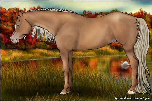 Horse Color:Gray Gold Champagne