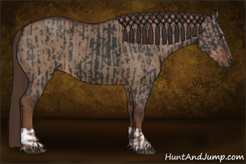 Horse Color:Gray Liver Chestnut and Liver Red Dun