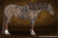 Horse Color:Gray Liver Chestnut  and Liver Red Dun 