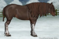 Horse Color:Liver Chestnut  and Liver Chestnut 