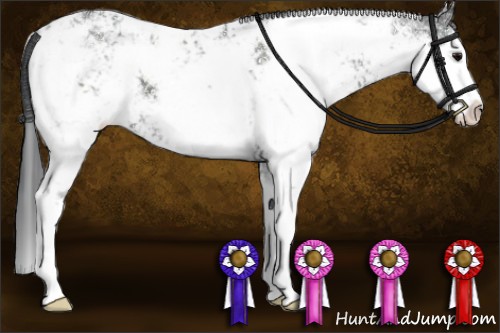 Horse Color:Black Sabino 