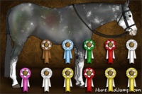 Horse Color:Black Sabino 