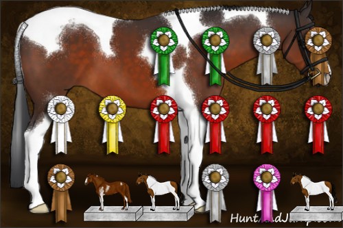 Horse Color:Brown Sabino Tobiano 