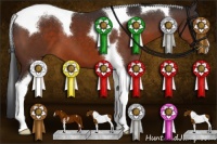 Horse Color:Brown Sabino Tobiano 