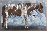 Horse Color:Liver Chestnut  and Liver Chestnut Tobiano 