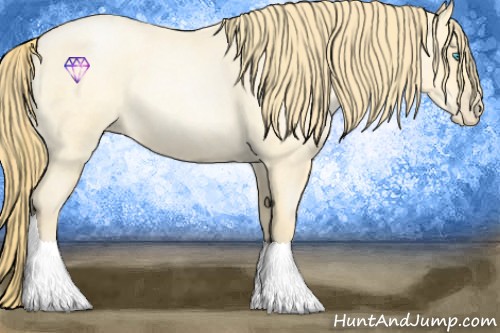 Horse Color:Buckskin Roan Pearl and Buckskin Roan Pearl