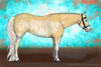 Horse Color:Palomino Splash Frame and Palomino Splash Frame