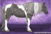 Horse Color:Platinum Chocolate Palomino Tobiano