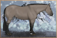 Horse Color:Gray Grullo 
