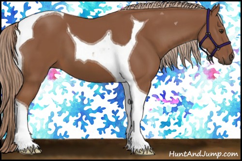 Horse Color:Chestnut Tobiano 
