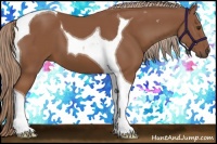 Horse Color:Chestnut Tobiano