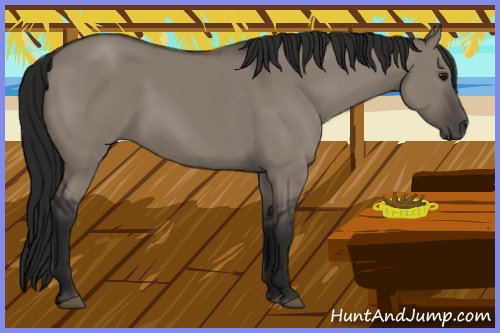 Horse Color:Gray Grullo