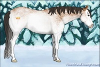 Horse Color:White Spotted Bay Roan Splash