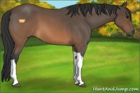 Horse Color:Brown Roan Tobiano 