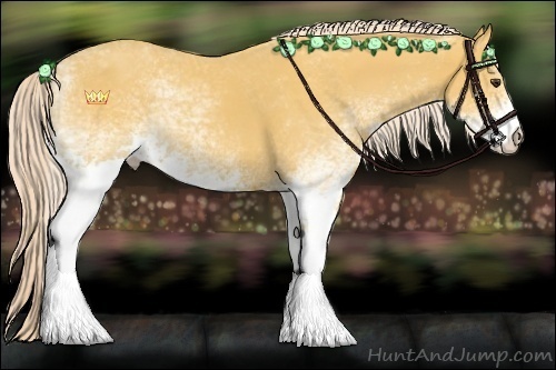 Horse Color:White Spotted Palomino 