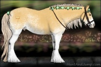 Horse Color:White Spotted Palomino