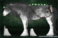 Horse Color:White Spotted Black 