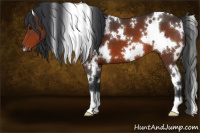 Horse Color:White Spotted Brown 