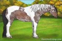 Horse Color:Bay Ice Tobiano 