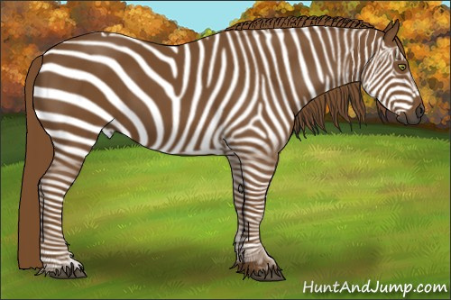 Horse Color:Gray Chestnut 