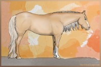 Horse Color:Silver Bay Pearl