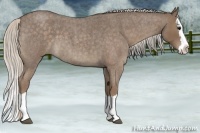 Horse Color:Silver Blue Roan Splash