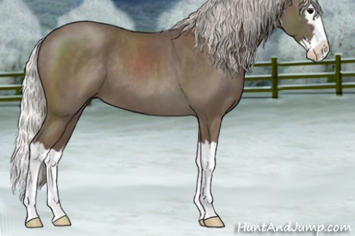 Horse Color:Silver Blue Roan Splash 