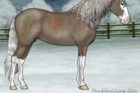 Horse Color:Silver Blue Roan Splash 