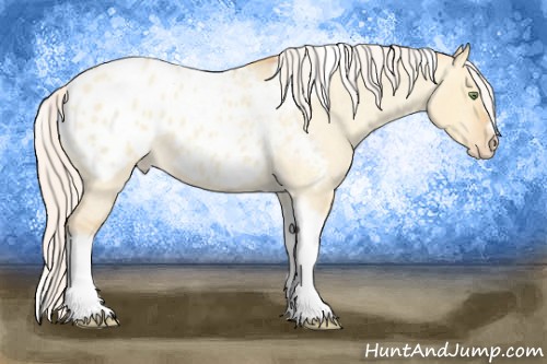 Horse Color:Silver Amber Champagne Roan Dun Splash Tobiano Frame Appaloosa Rabicano 