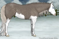 Horse Color:Silver Blue Roan Splash 