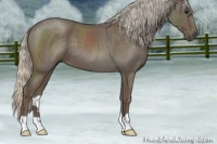 Horse Color:Silver Blue Roan