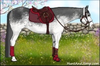 Horse Color:White Spotted Black 