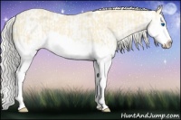 Horse Color:Cremello Splash and Cremello Splash Near Leopard