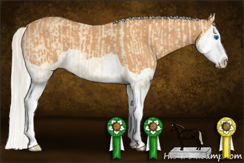Horse Color:Silver Perlino Splash and Gray Silver Perlino Splash