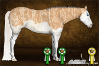 Horse Color:Silver Perlino Splash and Gray Silver Perlino Splash