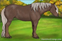Horse Color:Silver Black 