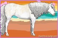 Horse Color:Cremello Splash  and Cremello Splash Varnish 