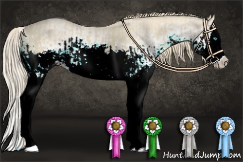 Horse Color:Smoky Creme Splash  and White Spotted Smoky Creme Splash 