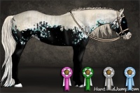 Horse Color:Smoky Creme Splash  and White Spotted Smoky Creme Splash 