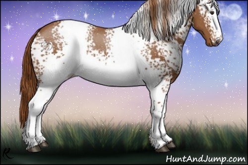 Horse Color:White Spotted Chestnut Rabicano 