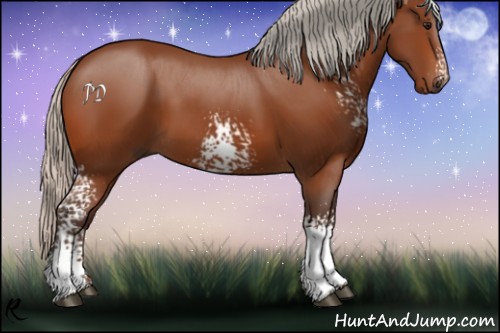 Horse Color:White Spotted Silver Bay 