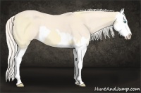 Horse Color:Cremello Splash  and Cremello Splash 