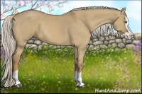 Horse Color:Palomino Dun Splash 