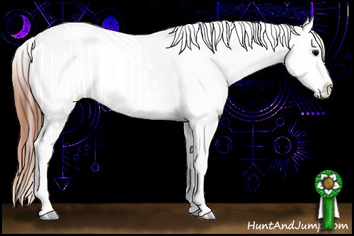 Horse Color:Brown Varnish and Brown Varnish