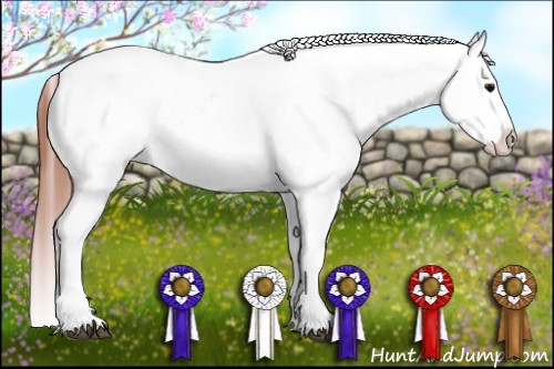 Horse Color:Brown Blanket and Brown Tobiano Blanket
