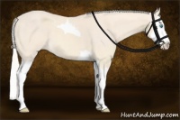 Horse Color:Cremello Splash Tobiano and Cremello Splash